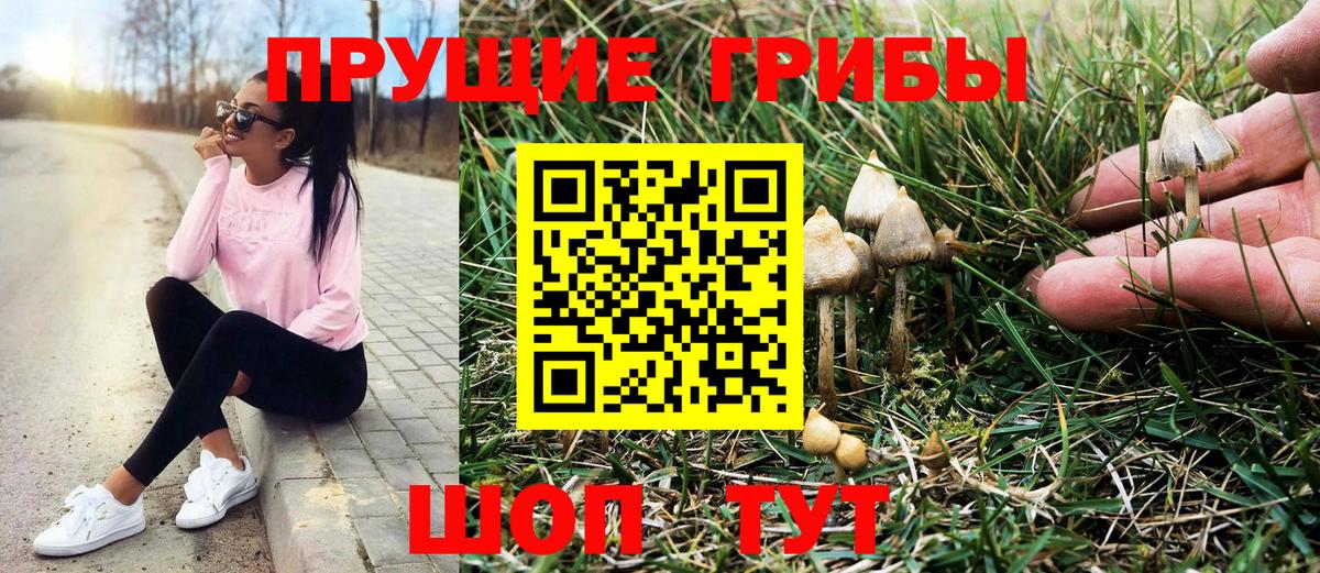 Галлюциногенные грибы мухоморы Шелехов