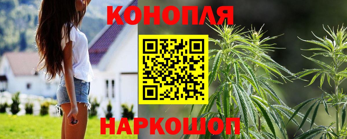 Конопля SATIVA & INDICA Шелехов